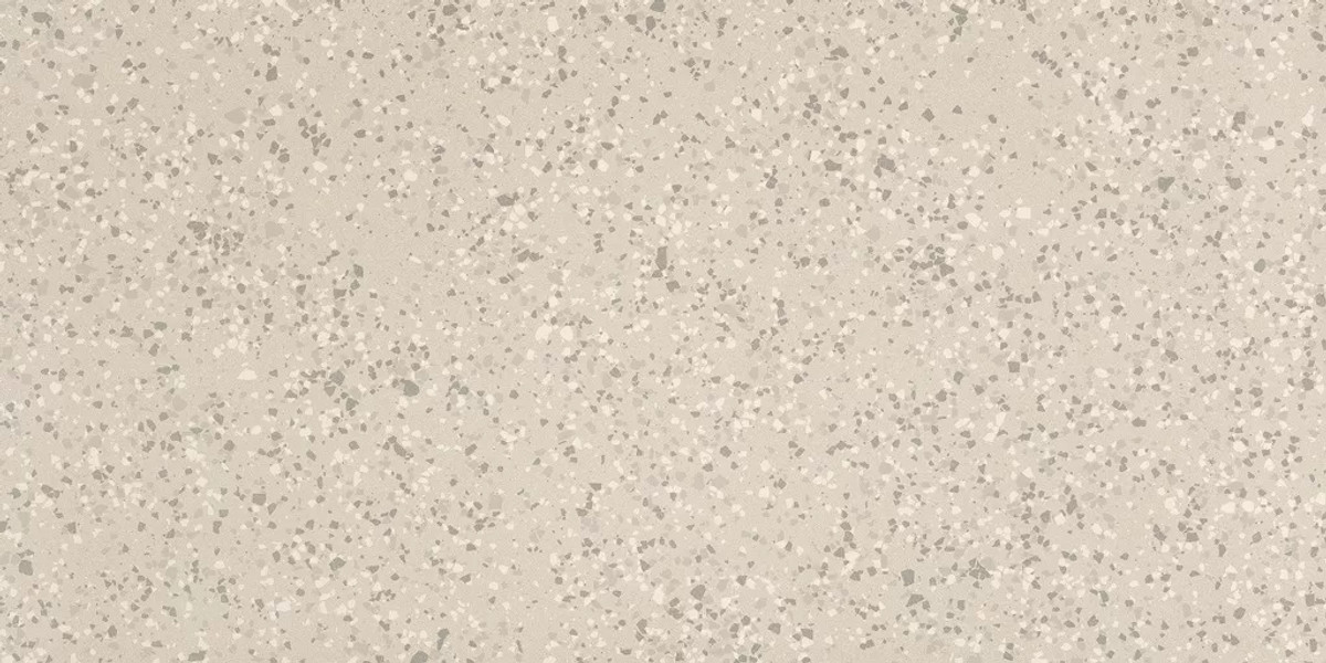 Parade White Terrazzo Matte 24x48