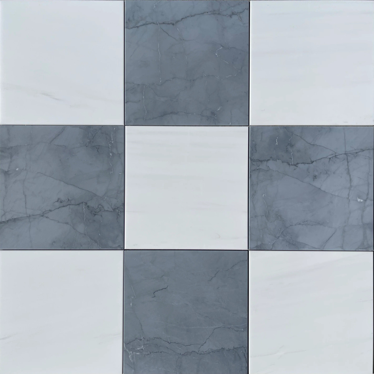 Checkerboard Dolomite and Bardiglio Imperiale Marble Honed 12x12