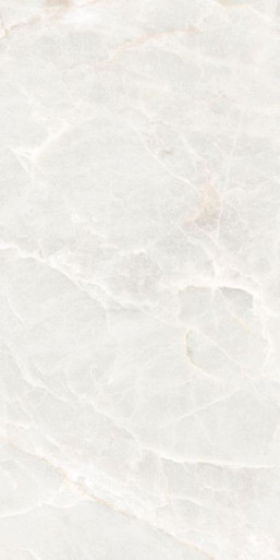 ECOCERAMICS - BRASILIA WHITE POLISHED - 12X24
