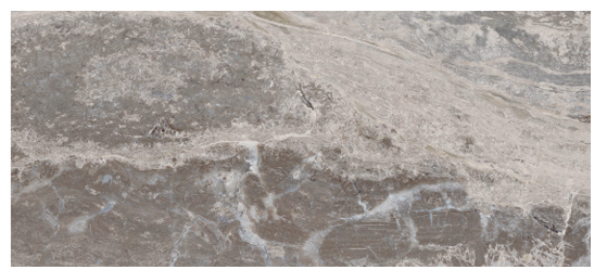 Orobico Grey Matte 12x24