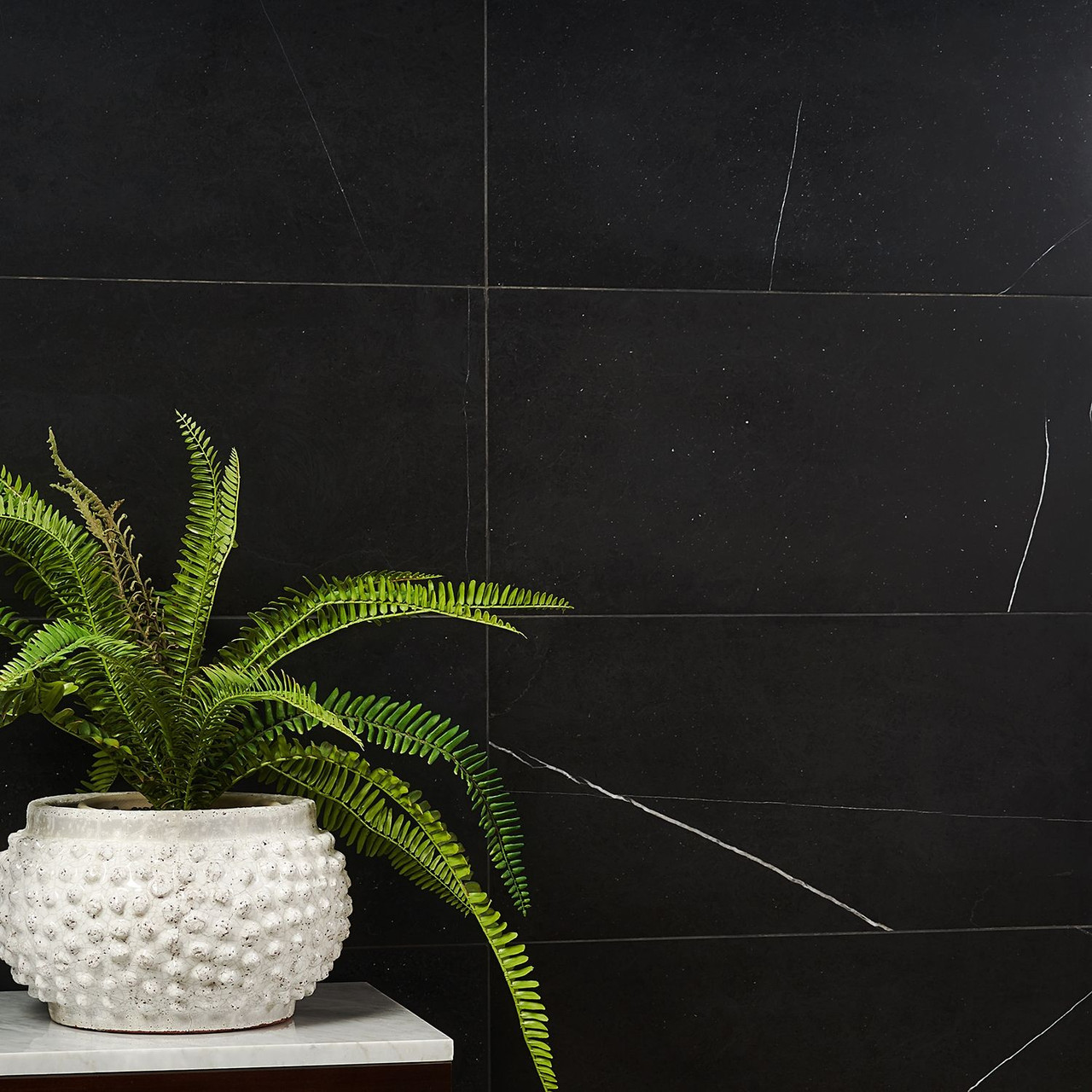 Nero Marquina Honed 12"x24" Marble Tiles