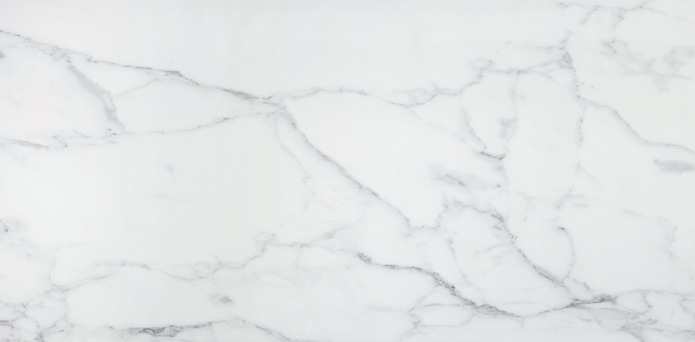 Imagine Stone Carrara Extra Polished 24"x48"