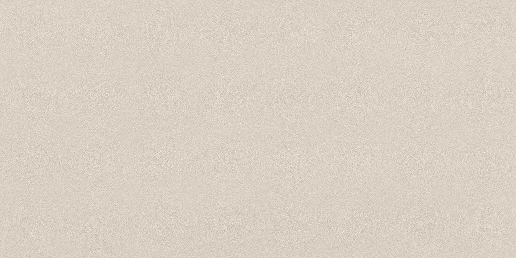 Parade White Polished 24x48