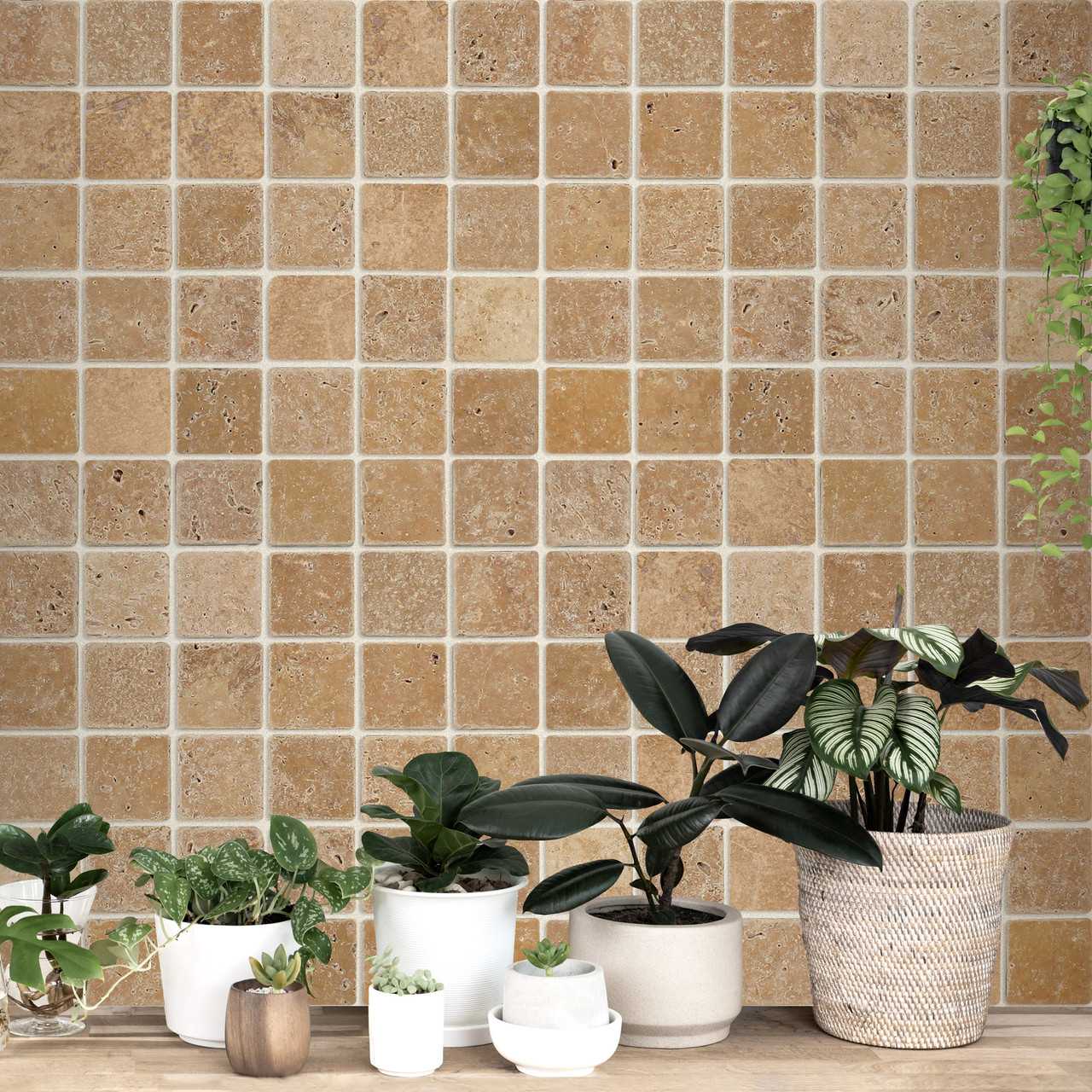 Noce Premium Travertine Square 2″ X 2″
Tumbled
