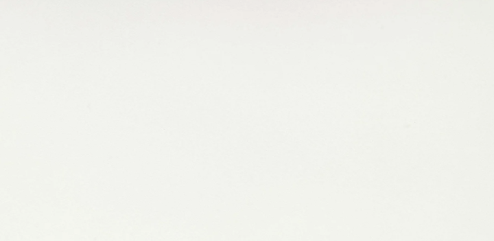 B&W White Gloss 12x24