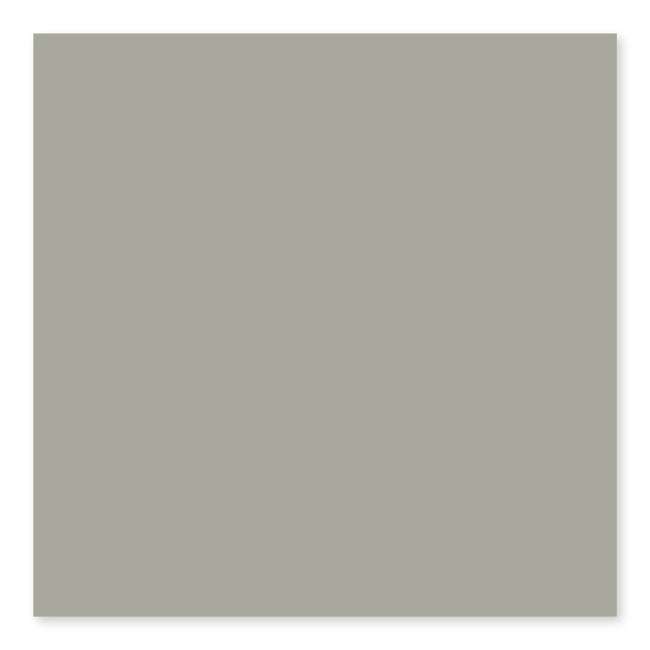 Taupe Matte

U289
3×6, 4×4, 4×10, 4×16, 6×6
