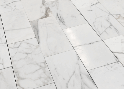 Calacatta Honed 12x24
