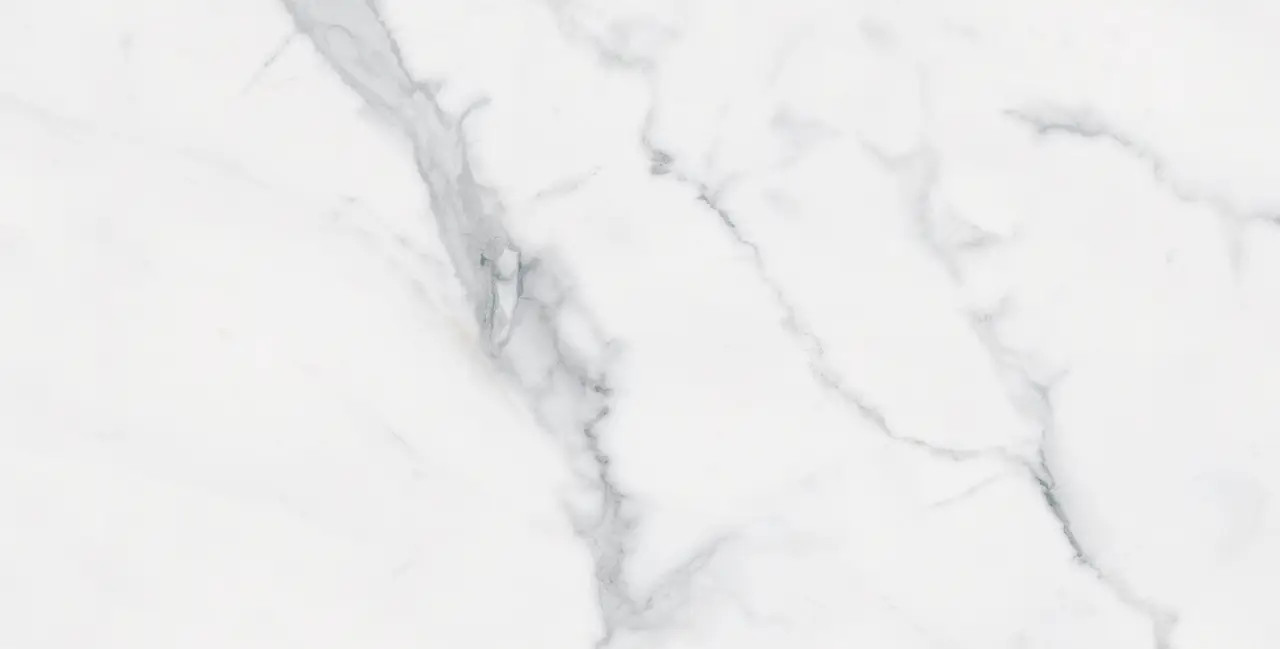 Bianco Venantino Polished 12"x24"