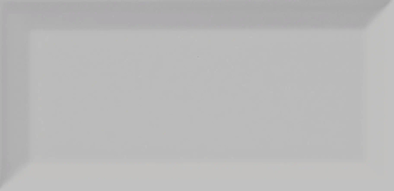 CC Textures Tender Gray Bright Beveled 3"x6" U761-BV 4"x10" U761-410-BV