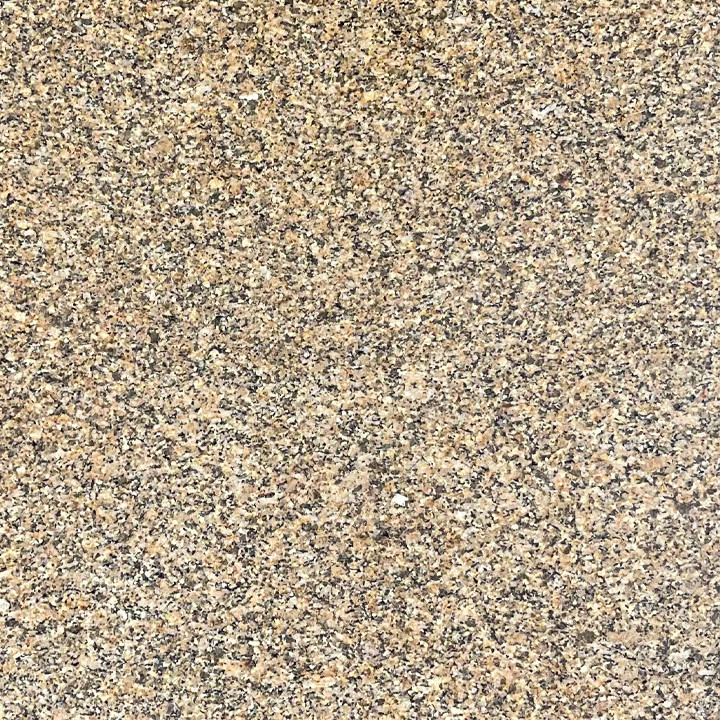 Giallo Antico Polished 12x12 Granite Tile #3007