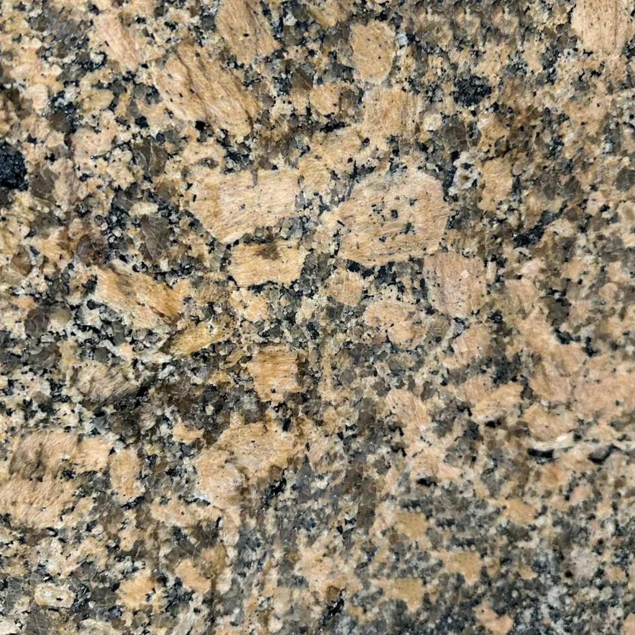 Giallo Fiorito 12x12 Polished Granite Tile