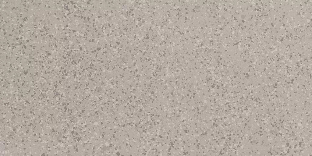 Parade Silver Terrazzo Matte 24x48