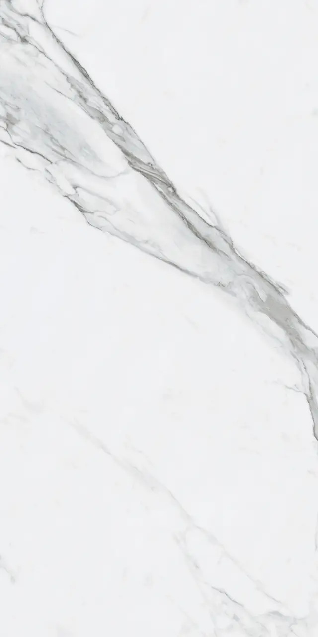 Bianco Venantino Polished 24"x48"