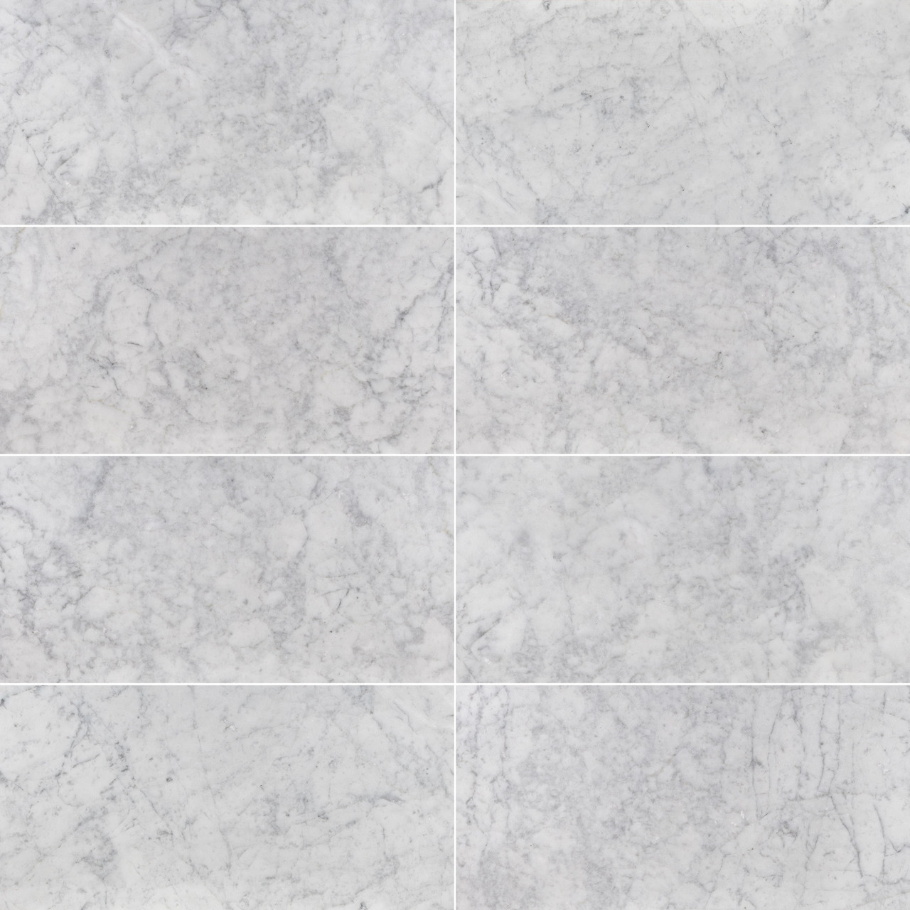White Carrara Marble 12×24