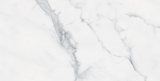 Bianco Venantino Matte 12x24