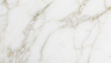 Calacatta Honed 12x24 Marble Tiles