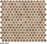 Penny Round SPM-7040 Matte Cotto 12"x12"