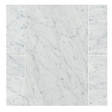 Carrara Honed 12x24