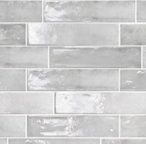 Memory Pearl Grey 2 1/2" x10” Gloss Porcelain Tiles