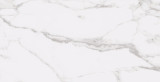 Statuary Extra Matte 12"x24" Porcelain Tile