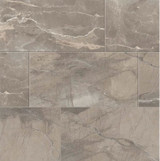 Absolute 12 in. x 24 in. Matte Porcelain Tile - Taupe