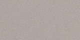 Parade Silver Matte 12x24
