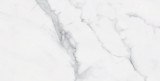 Bianco Venantino Polished 12"x24"