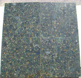 Verde Butterfly Polished 12x12 Granite