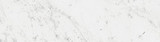 Brick Atelier Carrara Polished 3 1/8x 12 3/8