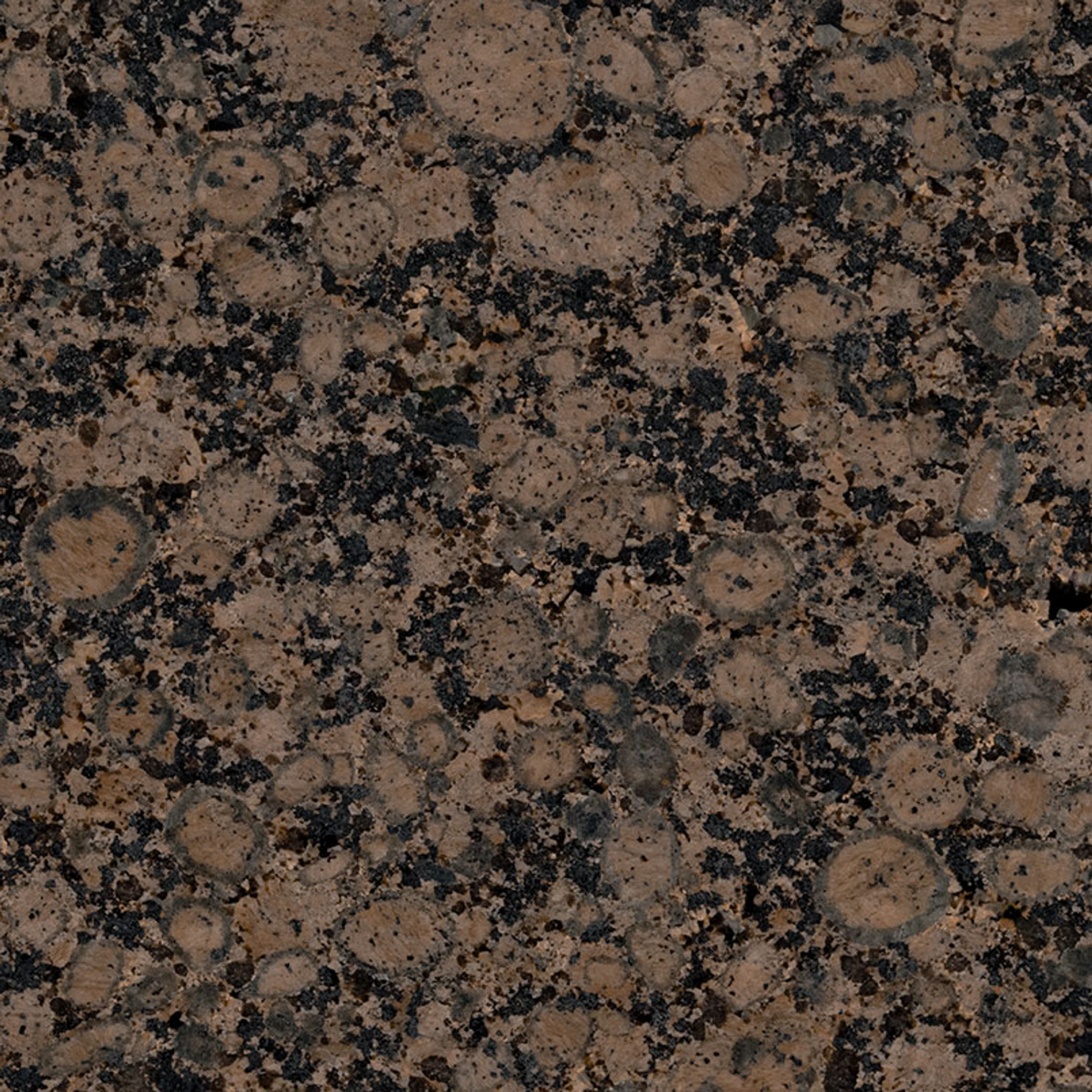 Baltic Brown Polished 12x12 Granite Tiles $7.99 Sq. Ft. (8 Sq. Ft. Left)