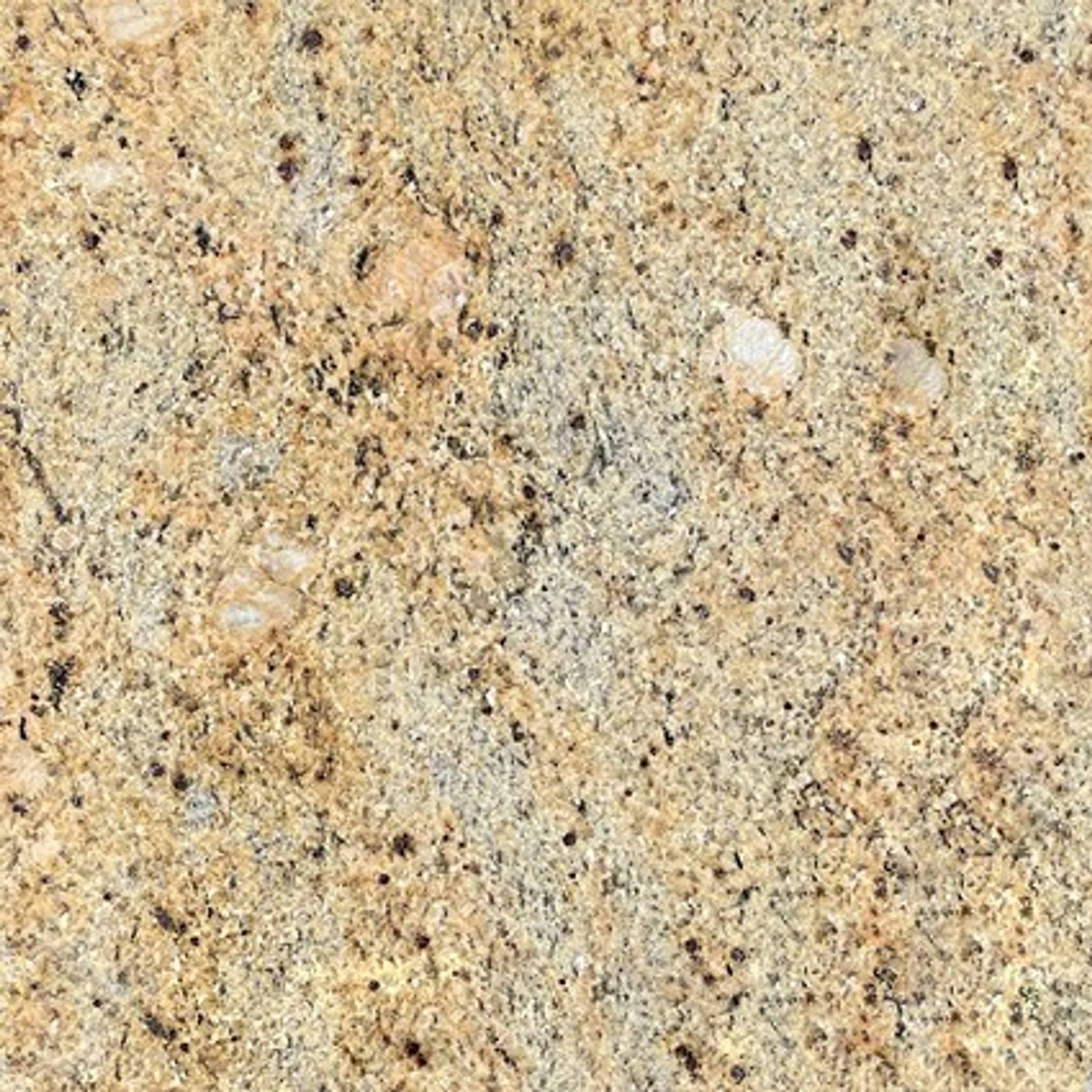 Kashmir White Granite Tile 18x18