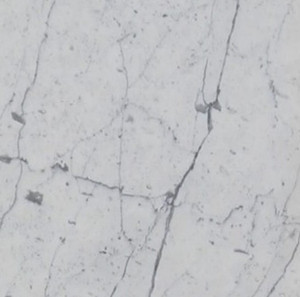 Statuarietto Polished 12x12 Item# 8 Statuarietto Polished 12x12 Item# 8