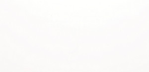 Solid White Matte 12x24 Solid White Matte 12x24