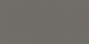 Influence Colorbody Iron 12x24 Influence Colorbody Iron 12x24