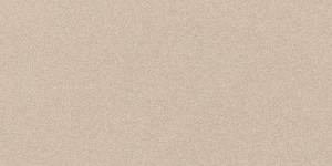 Parade Almond Matte 24x48 Parade Almond Matte 24x48