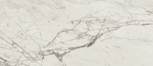 Marvel Pro Statuario Select Matte 18x36 Marvel Pro Statuario Select Matte 18x36