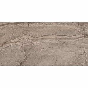 Motion Walnut 12x24 Motion Walnut 12x24