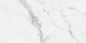 Bianco Venantino Polished 12"x24" Bianco Venantino Polished 12"x24"