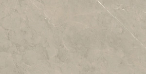Capetown Silver Polished 12"x24" Porcelain Tile Capetown Silver Polished 12"x24" Porcelain Tile