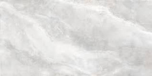 Essential Gray Polished 30x60