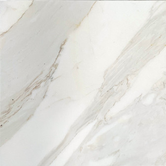 Calacatta Gold 24×24 Honed Marble Tile