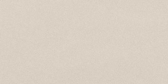 Parade White Matte 24x48