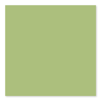 Color Collection Spring Green Bright U711 3×6, 4×4