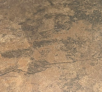 Expressions Caramel 12x12