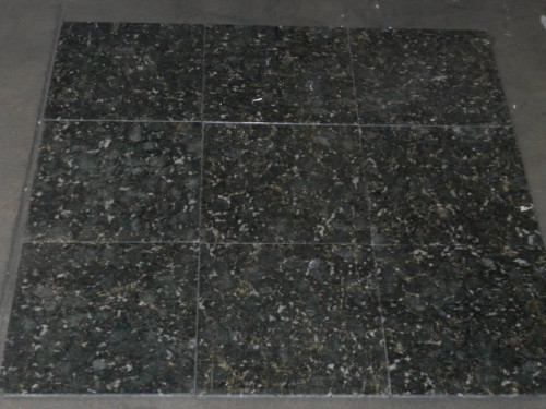 Verde Butterfly Polished 12x12 Granite