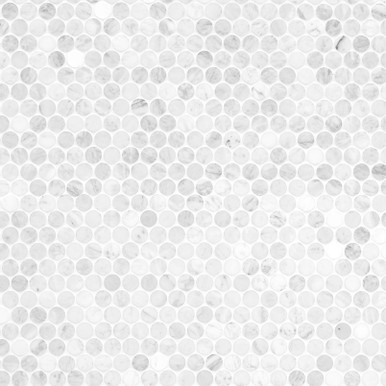 Carrara White Penny Round Marble Honed Mosaic