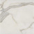 Calacatta Gold 12×12 Honed Marble Tile