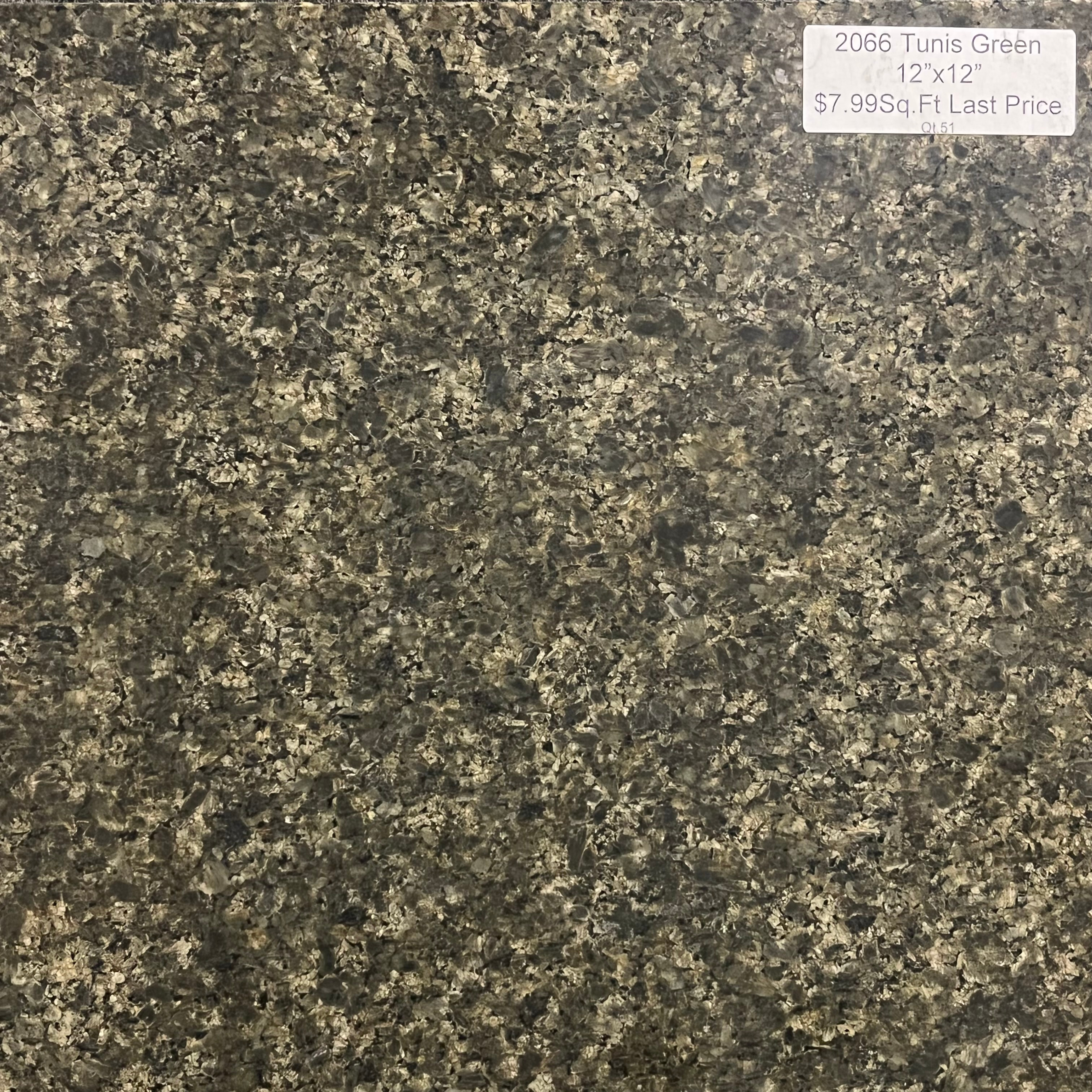 2066 Tunis Green 12x12 Polished $7.99 Sq. Ft. Closeout Granite Tile (51 Sq. Ft. Left)