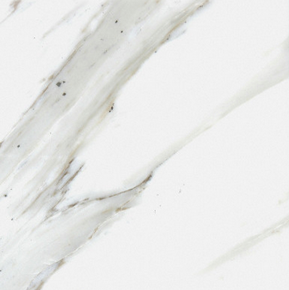 Calacatta Honed 12"x12" Marble Tile (Box Size 10 SF)