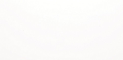 Solid White Matte 12x24